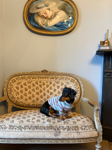 Doggy Striped Matching Top (Choose Colour)